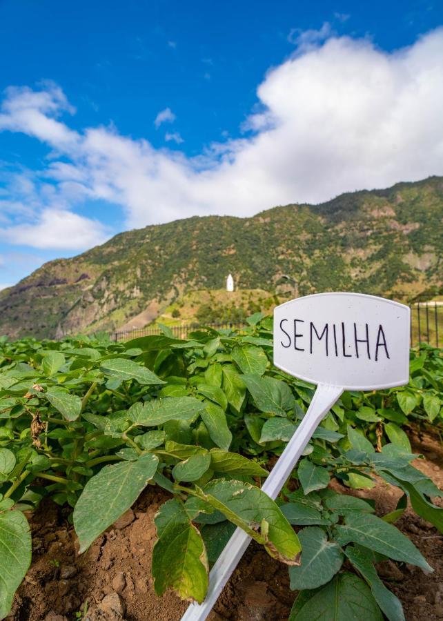 Quinta Vale Vitis Villa Sao Vicente  Ngoại thất bức ảnh