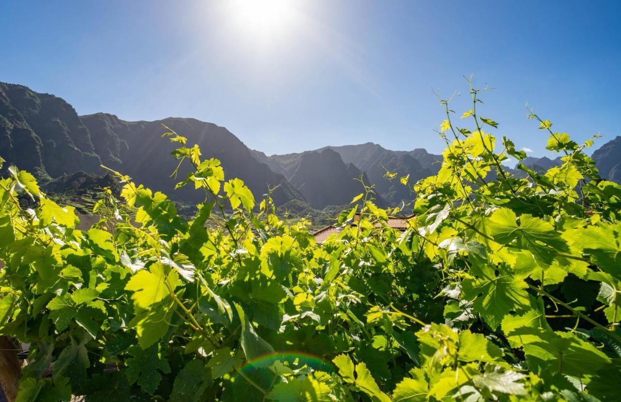 Quinta Vale Vitis Villa Sao Vicente  Ngoại thất bức ảnh