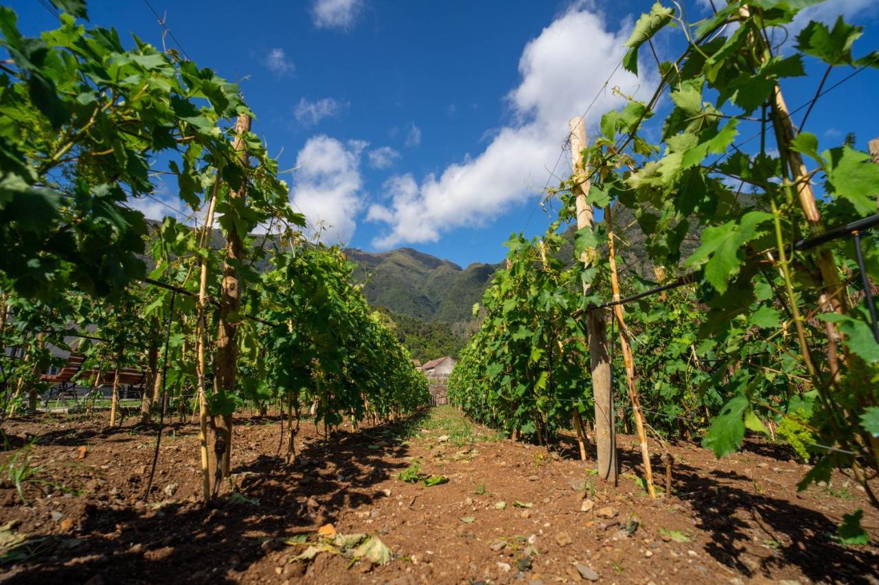 Quinta Vale Vitis Villa Sao Vicente  Ngoại thất bức ảnh