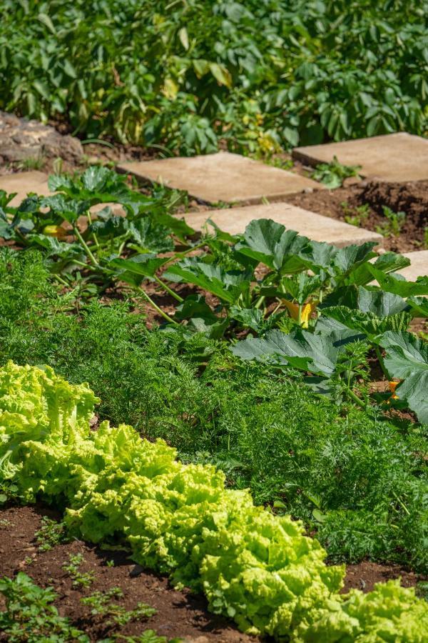 Quinta Vale Vitis Villa Sao Vicente  Ngoại thất bức ảnh